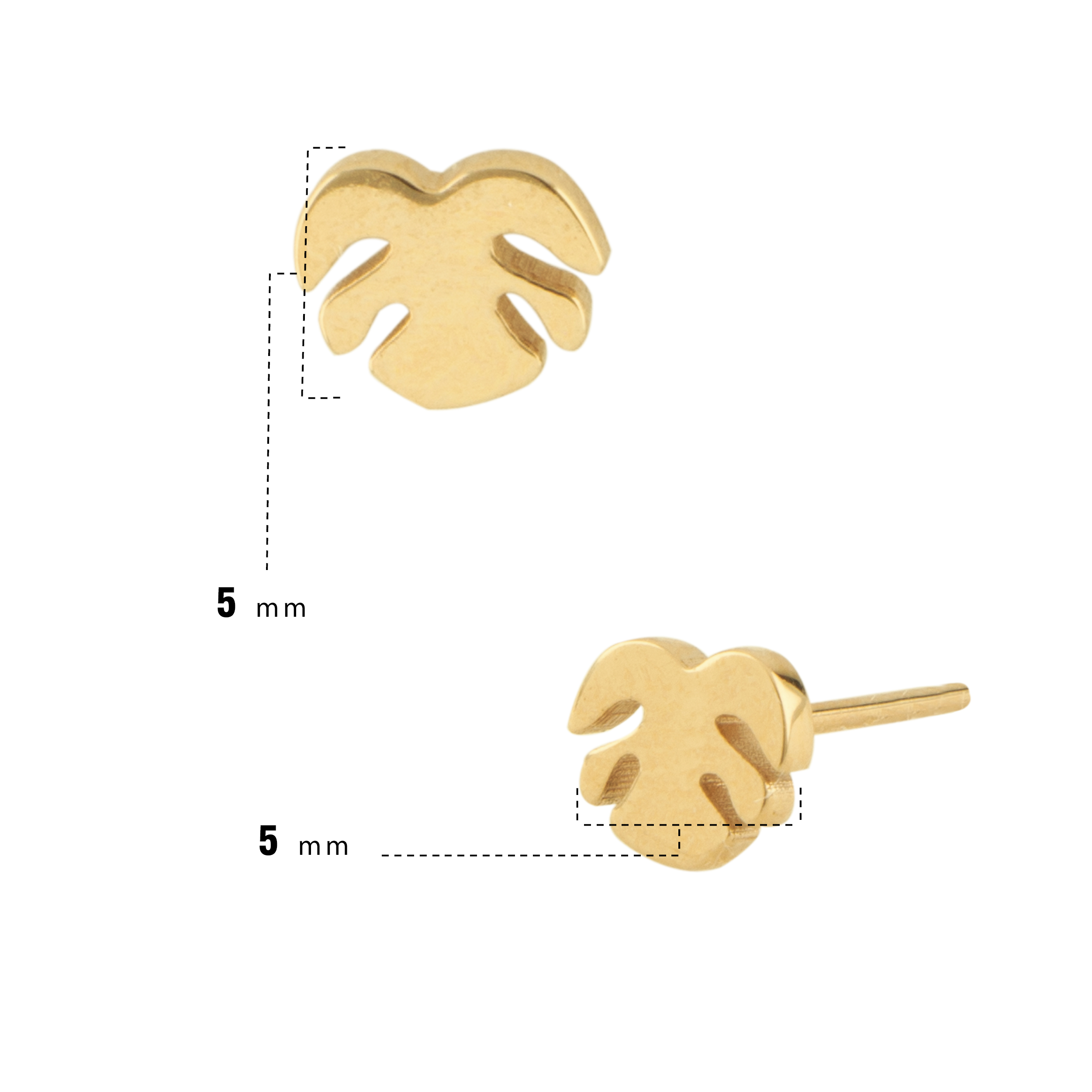 انجیر گوشواره 3