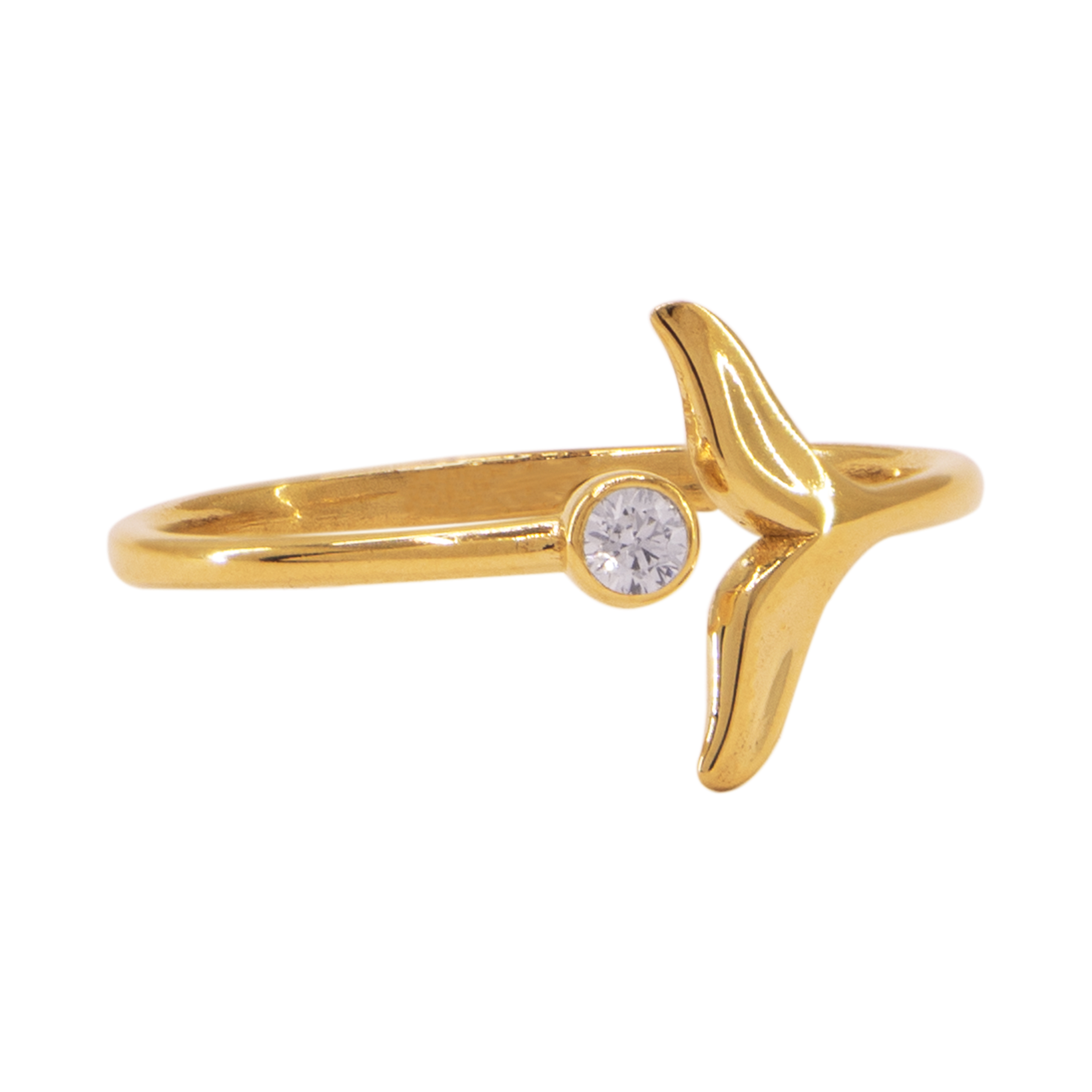 دلفین انگشتر 2