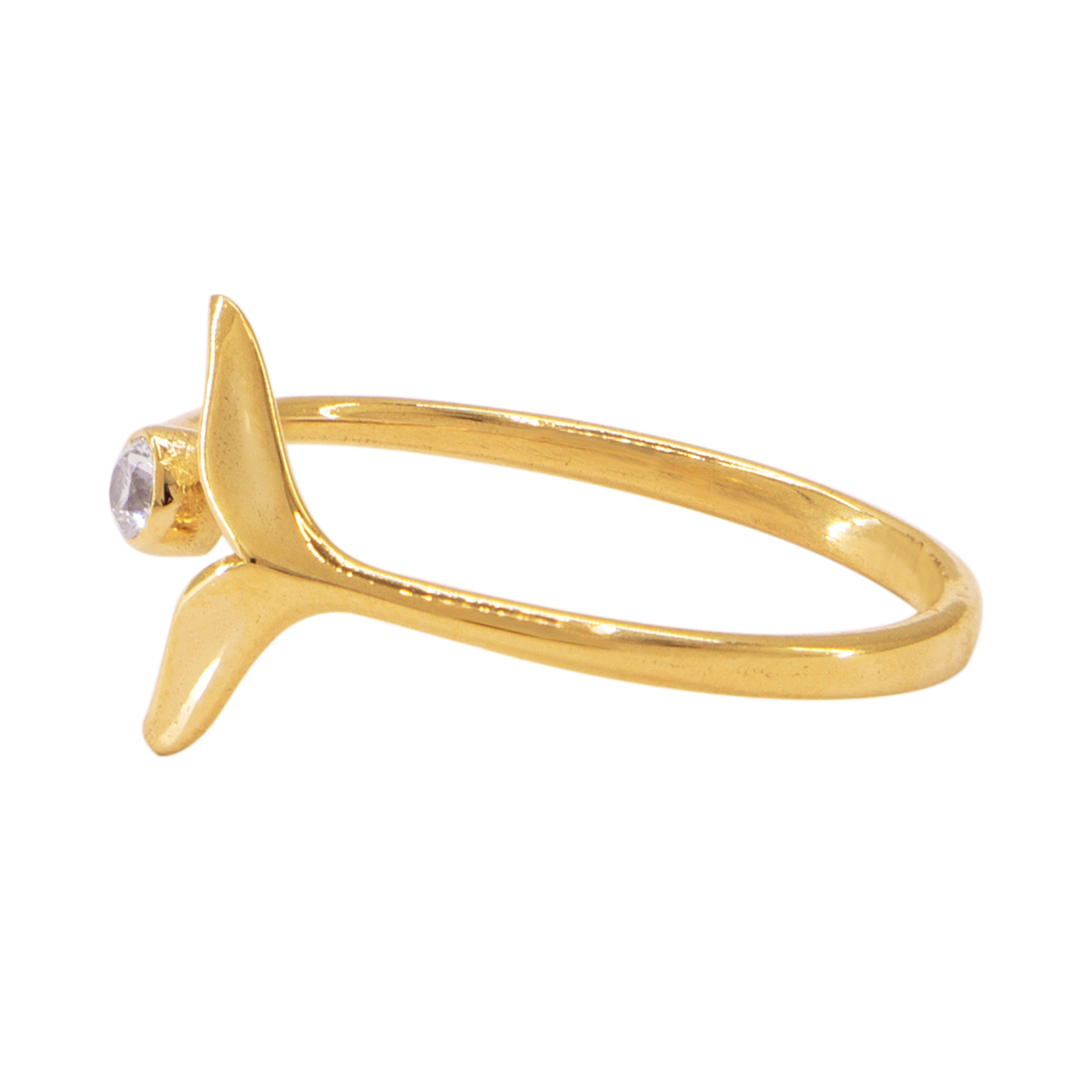 دلفین انگشتر 9