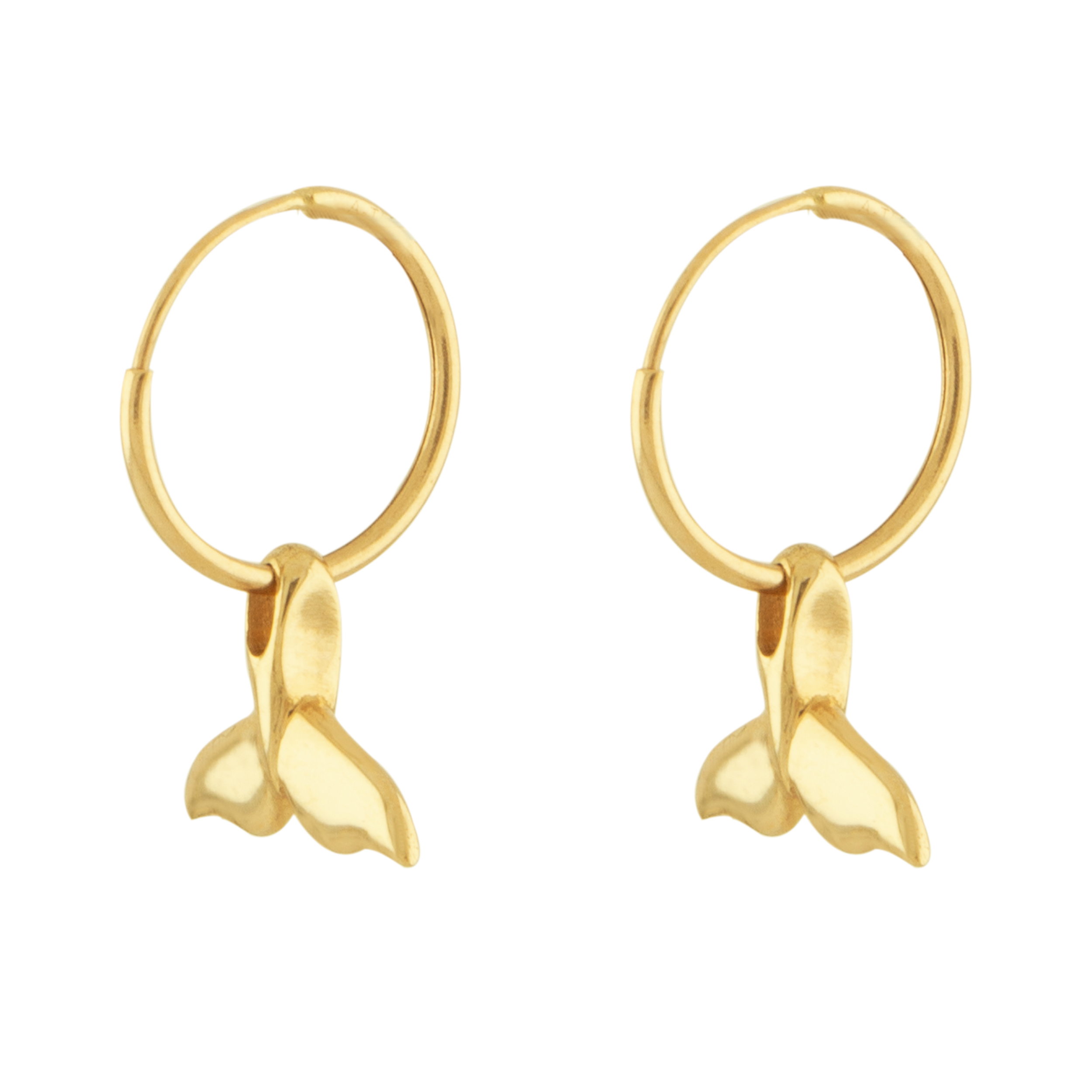 دلفین گوشواره 02