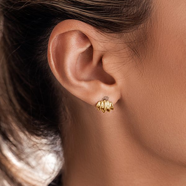 گوشواره لیان