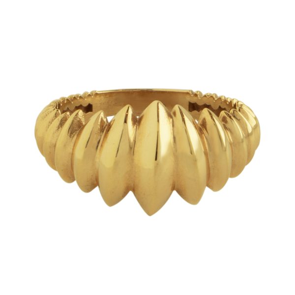 انگشتر لیان