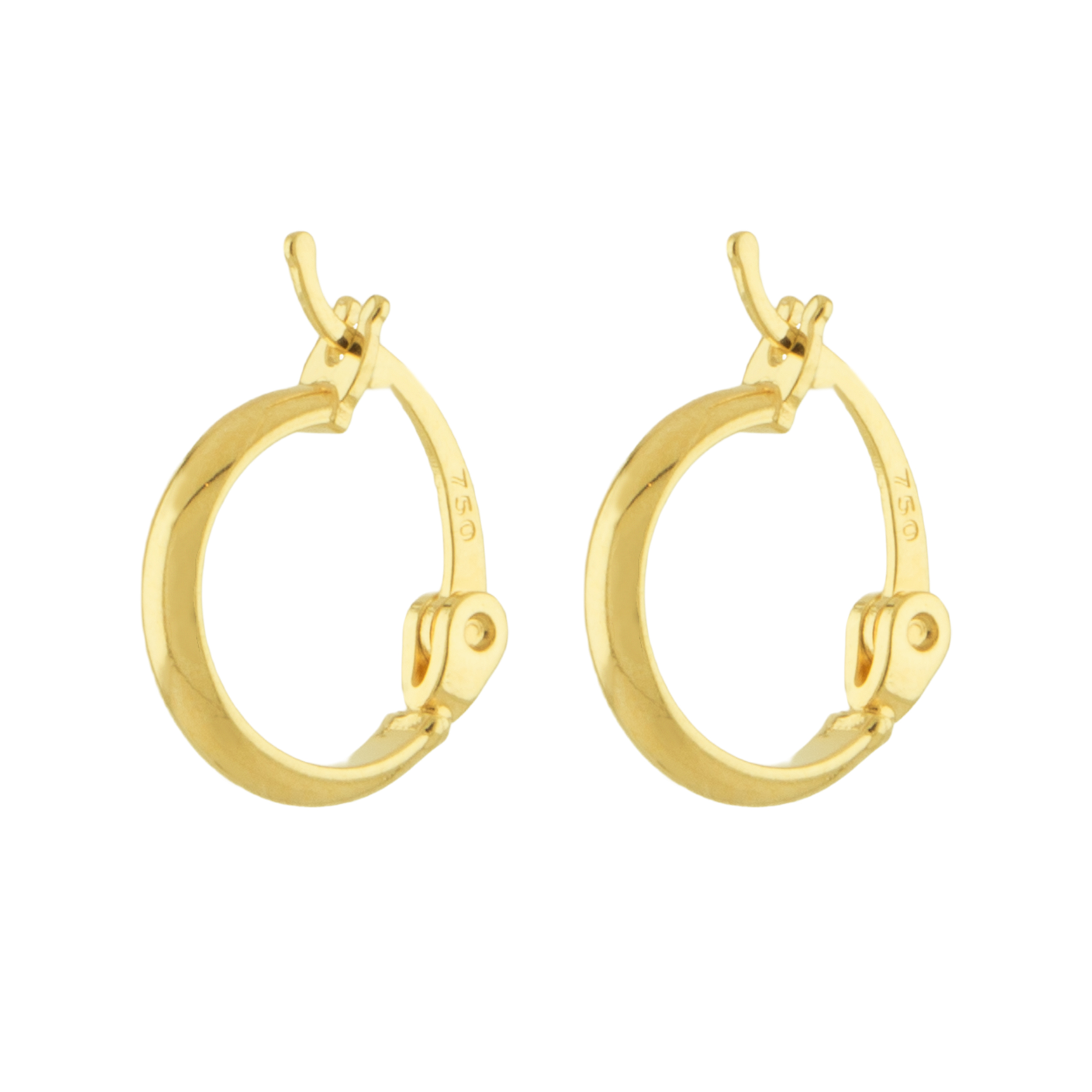 درنا گوشواره 02